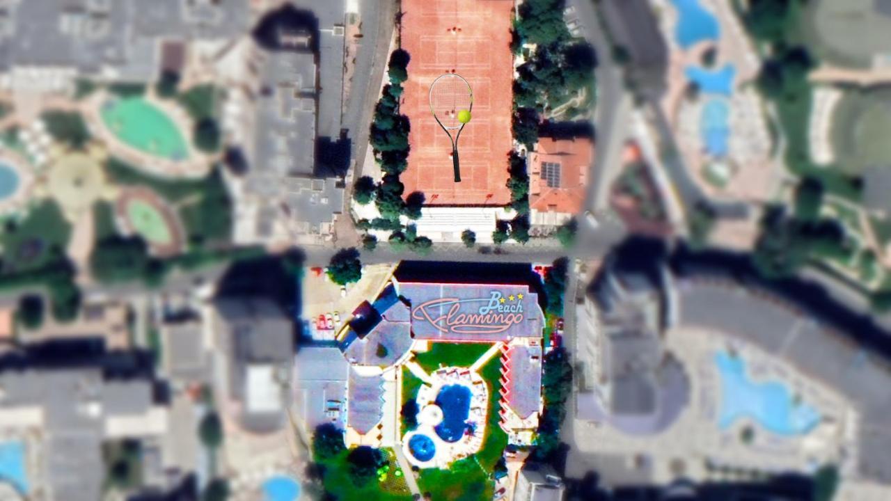 Flamingo 3*